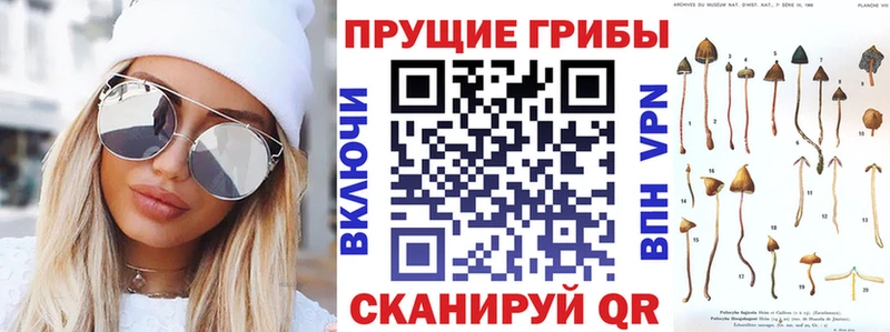 Галлюциногенные грибы мухоморы где можно купить Малмыж